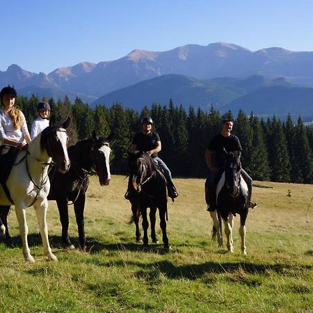 Mały domek pod lasem Zakopane Zewnętrze zdjęcie