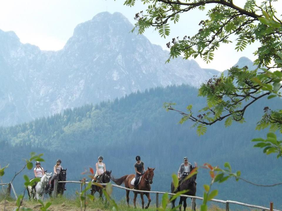 Mały domek pod lasem Zakopane Zewnętrze zdjęcie
