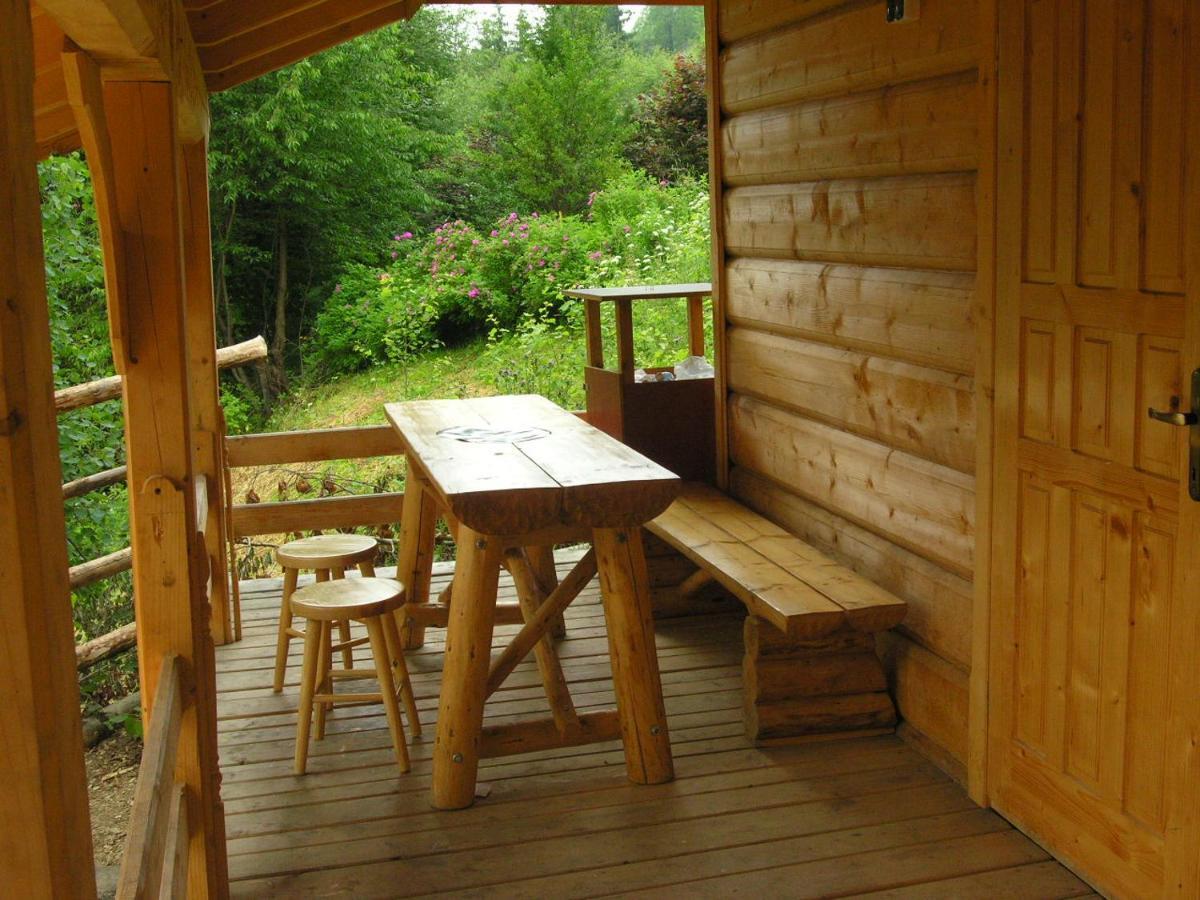 Mały domek pod lasem Zakopane Zewnętrze zdjęcie