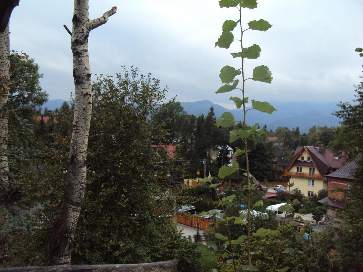 Mały domek pod lasem Zakopane Zewnętrze zdjęcie