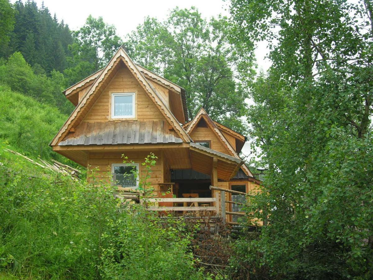 Mały domek pod lasem Zakopane Zewnętrze zdjęcie